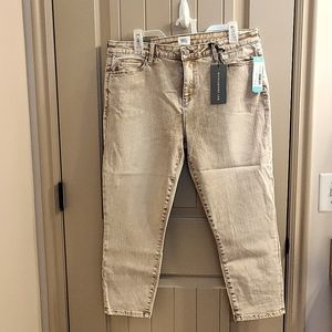 Wash Lab Keri Capri Skinny Jeans
